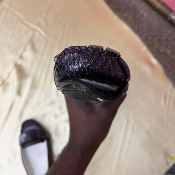 NWB DMG Calvin Klein Pazi Snake Shoes Sz 065M - Picture 6 of 9